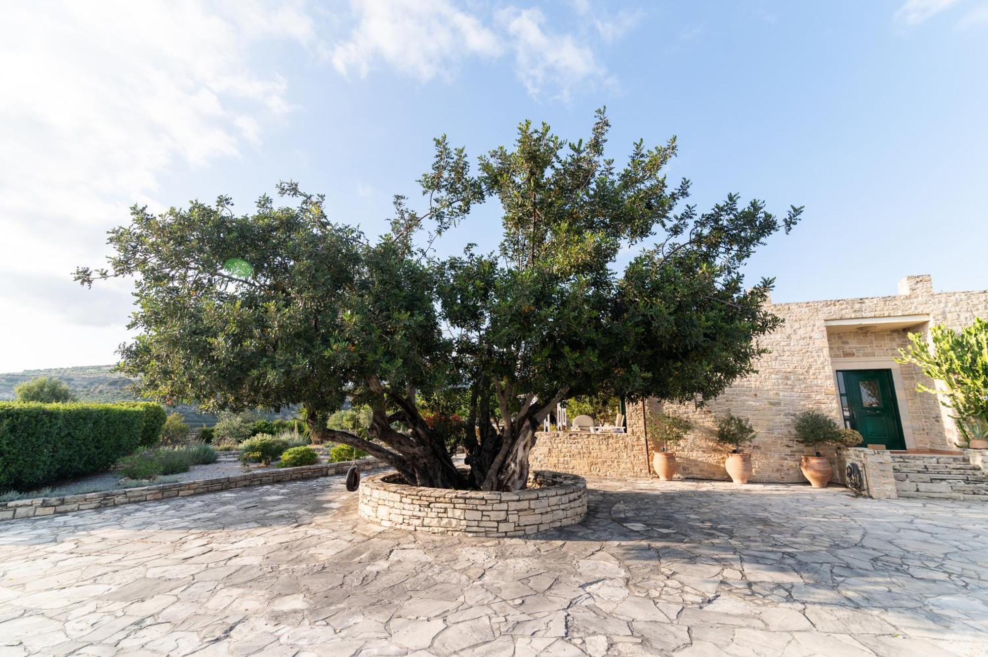 Carob Villa Moírai Dış mekan fotoğraf