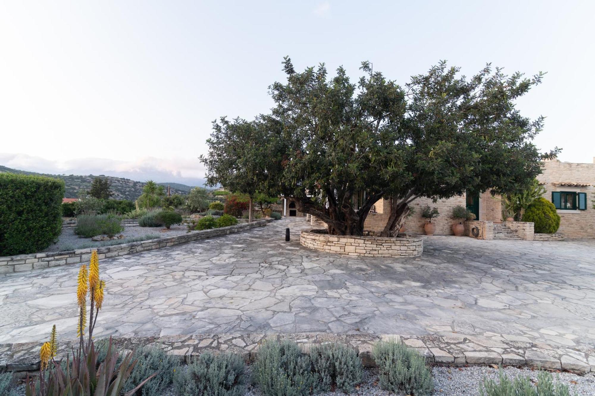 Carob Villa Moírai Dış mekan fotoğraf