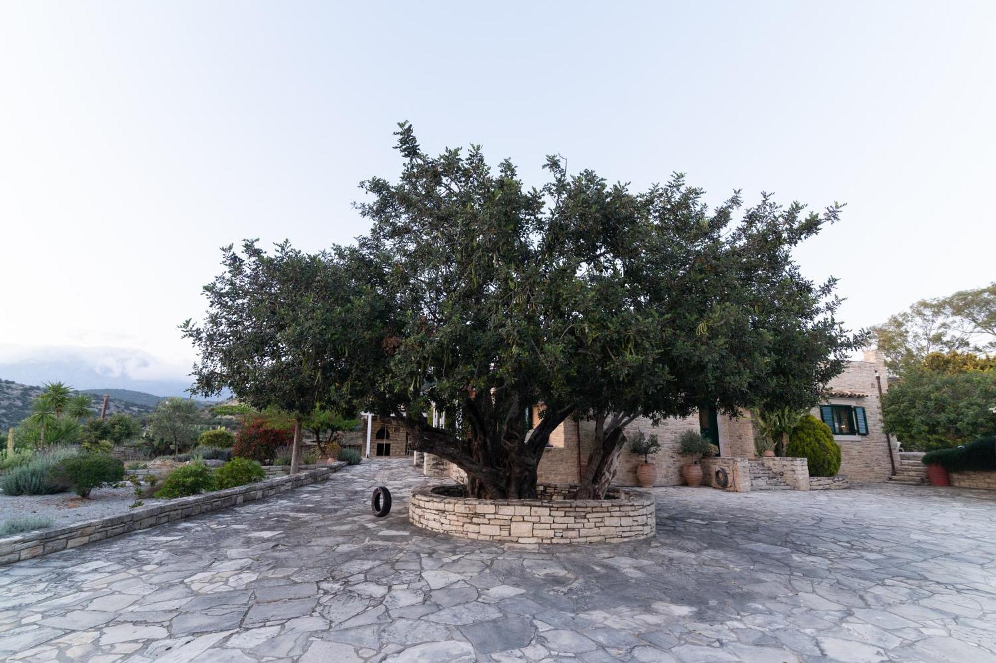 Carob Villa Moírai Dış mekan fotoğraf